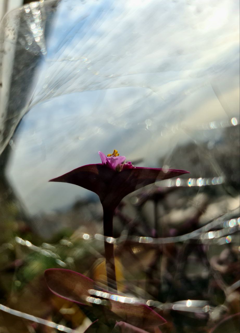 Photography