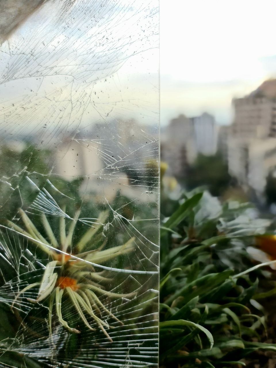 Photography